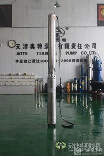 抽海水用的不锈钢潜水泵